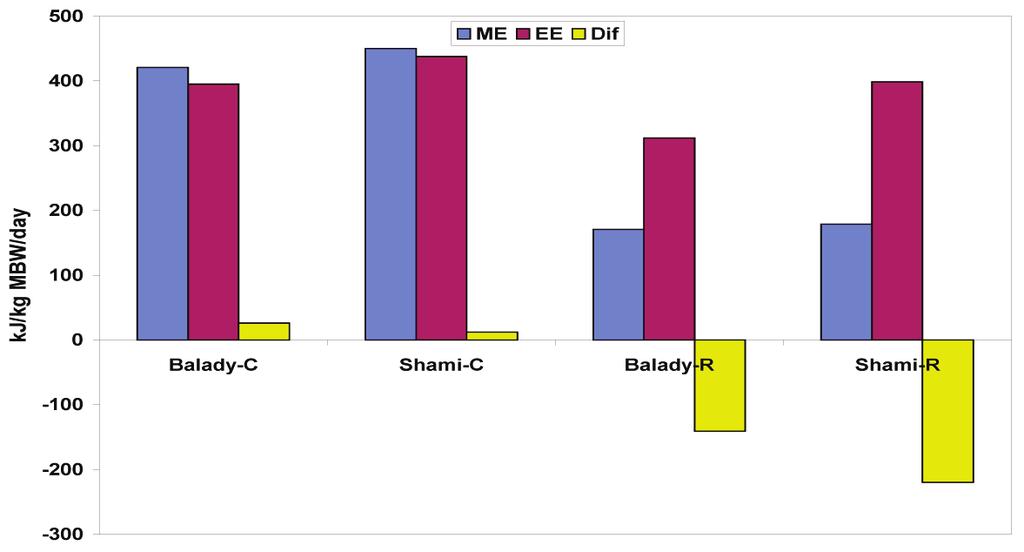 Fig. 2. Metabolisable energy (ME), energy exenditure (EE) and the difference (Dif) between them (kj/kg MBW) by Balady and Shami goats while feeding at control or restricted feed intake level. et al.