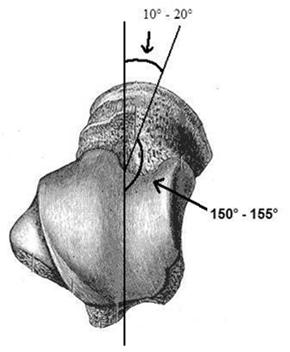 38 Angle between talar dome and neck reduces