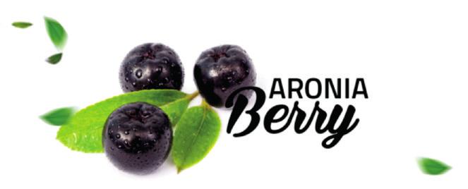 MIRACLE PLANT ARONIA IS AN ENEMY OF CANCER Aronia fruit, which will be harvested for the first time this year, is said to