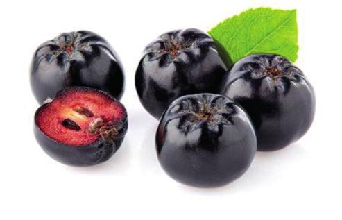 ARONIA regarded as super fruit in the US because it helps prevent or fight against many diseases is grown at Atatürk Horticultural Central Research Institute M.D.