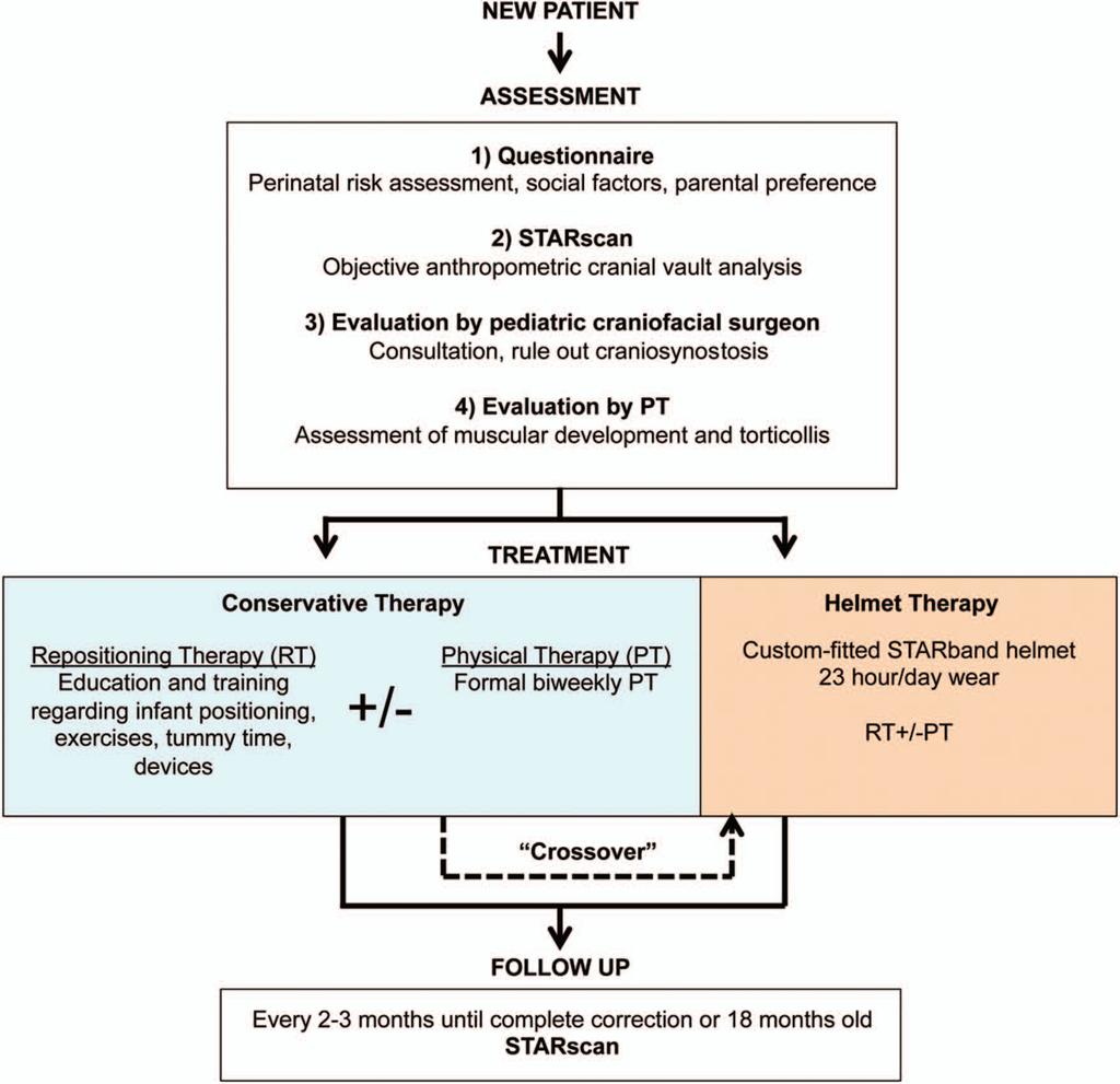 Volume 135, Number 3 Positional Craniofacial Deformation Fig. 1. Initial treatment algorithm and assignments.