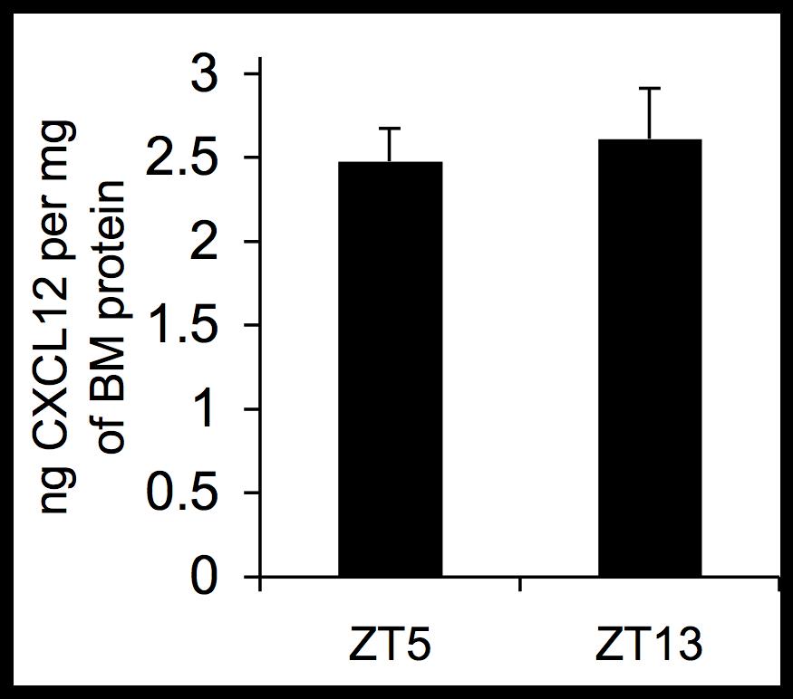 Supplementary Figure 5 a b CFU-C per ml of blood * FVB/NJ ZT5 Adrb3 -/- ZT13 c d * CFU-C per ml of blood Strain Adrb3 -/- Adrb3 -/- Adrb3 -/- Inj saline butoxamine propranolol Supplementary Figure 5.