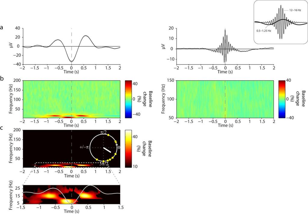Supplementary Figure 2 Event-locked analysis of scalp EEG (Cz) PAC. Left: SO-spindle PAC. (a) Grand average unfiltered EEG trace across participants (mean s.e.m.), aligned to the maximum of the SO trough (time 0).