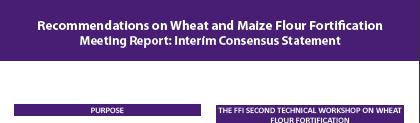 Recommendations on Wheat and Maize Flour Fortification
