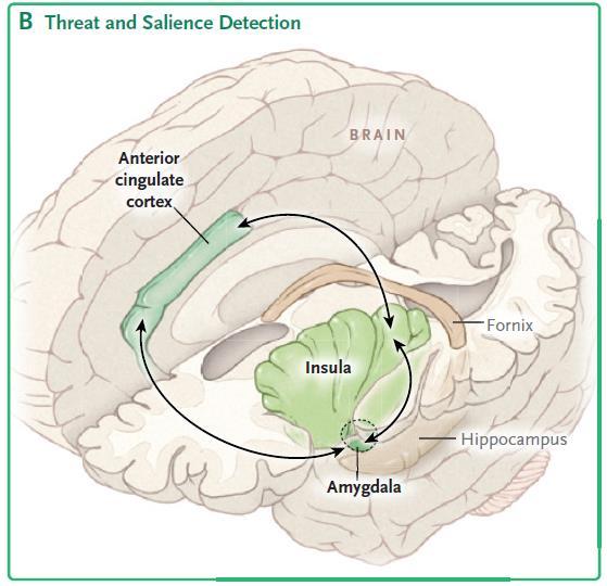 Threat Detection: Dysfunctional threat detection manifests as symptoms of PTSD including: hypervigilance, heightened threat anticipation, and exaggerated reactivity to salient stimuli.