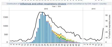 2012-2013 Argentina Argentina. Respiratory viruses distribution by EW, 2012-13 Argentina. ARI hospitalized cases.