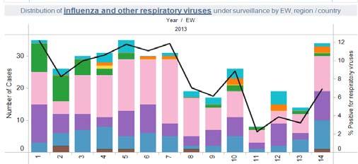 2 % were positive for respiratory viruses and 0.6% for influenza viruses. Adenovirus, RSV and parainfluenza were the most prevalent among the positives.