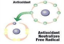 Free radicals Anti-oxidants Retina is an excellent environment for oxidative stress (rich blood supply,