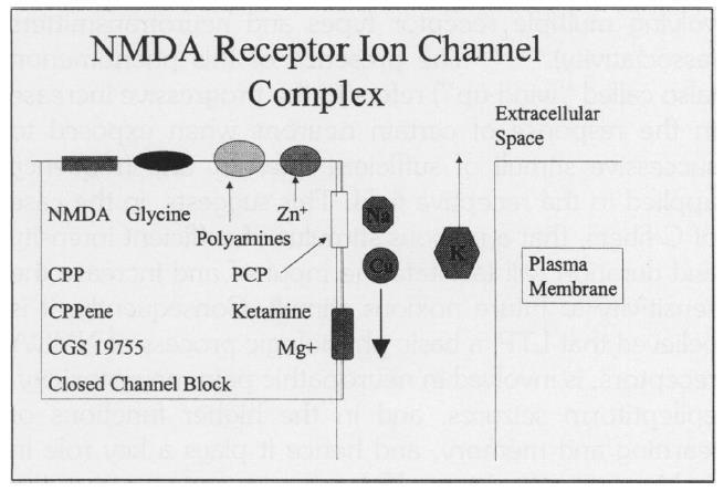 Ketamine and NMDA receptors Ketamine is noncompetitive NMDA receptor antagonist.