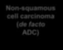 Algorithm without NGS Non-small cell lung cancer Squamous cell