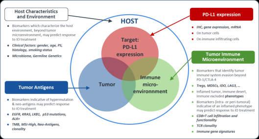 Parameters and potential biomarkers of anti-tumor immune response Technical and clinical