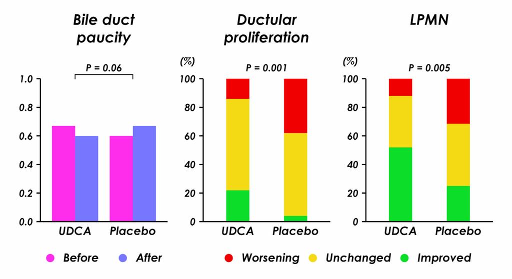 Impact of 2-year UDCA treatment on