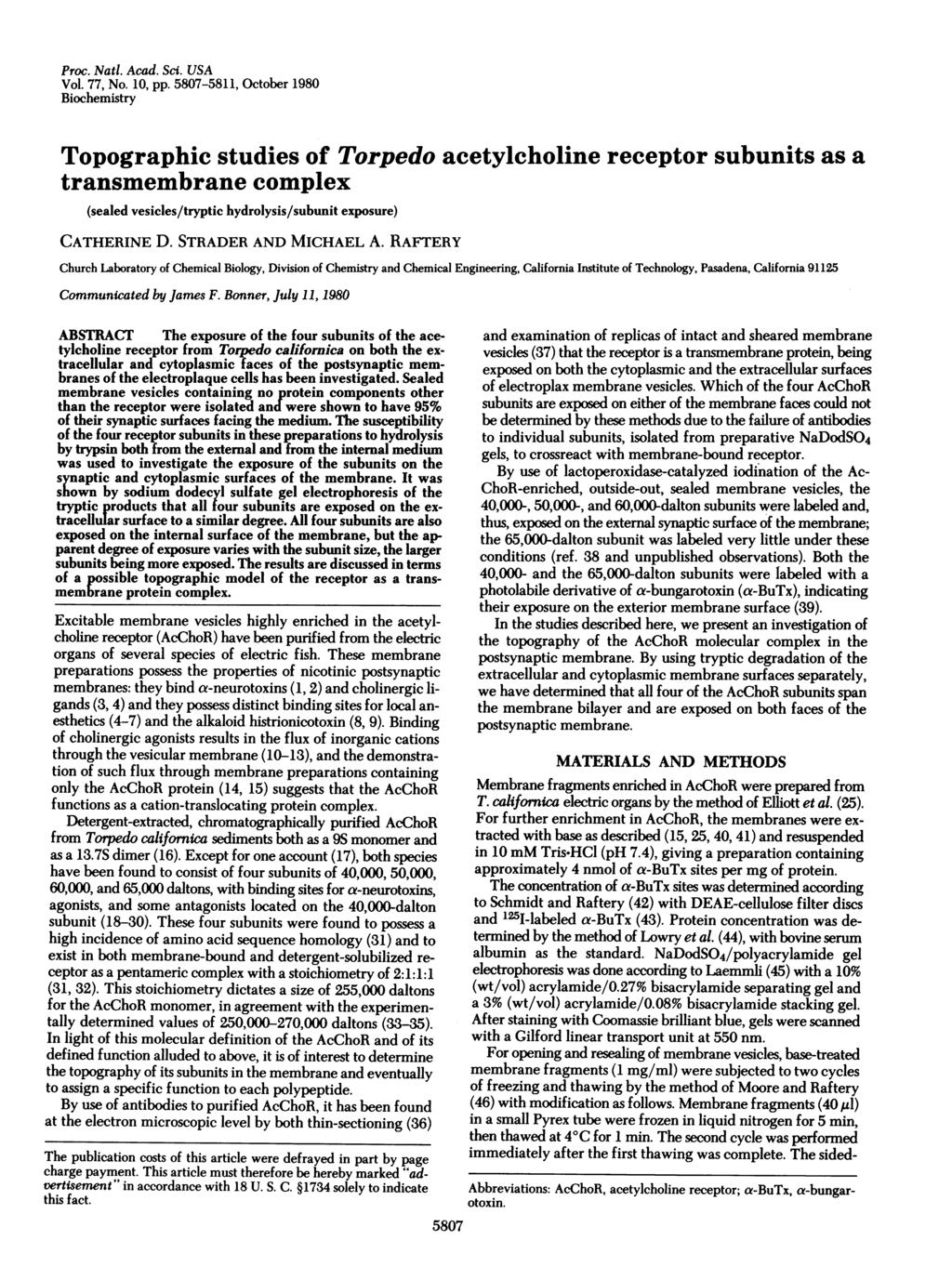 Proc. Natl. Acad. Sci. USA Vol. 77, No. 10, pp.