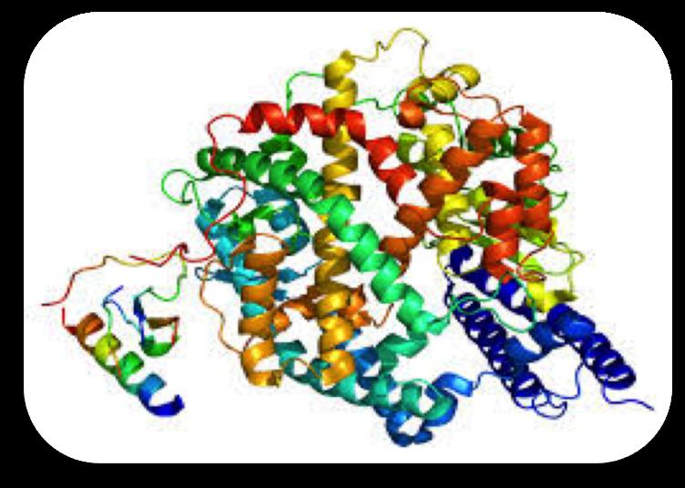 Some are made of RNA They are high molecular weight compounds made up principally of