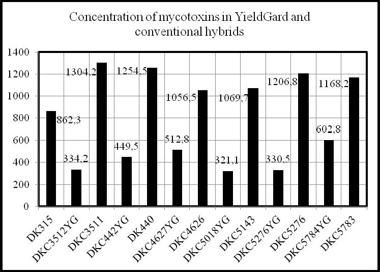 S.A. MUHAMMAD hibrizi de porumb din anul 2011 au fost colectate arbitrar.