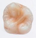 Material description and properties Technical specifications: CTE Chroma Shade 9.8 Dentine, Incisal 8.