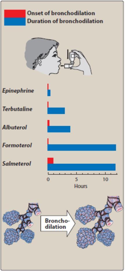 Unlike formoterol, however, salmeterol has a somewhat delayed onset of