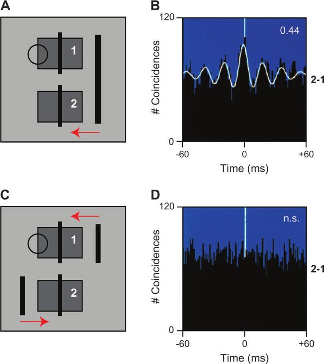 Neural Synchrony in Schizophrenia Fig. 1. Synchronous Gamma Oscillations and Perceptual Binding.