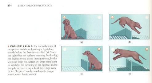 LP 8A applying operant cond 11 The dog s reacted by being passive and not escaping the electric shocks when unharnessed. Martin Seligman described this behavior as learned helplessness.