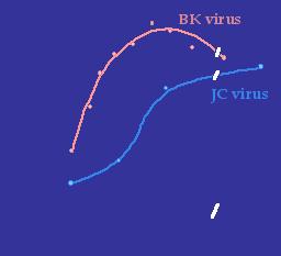 Antibody Prevalence for BK