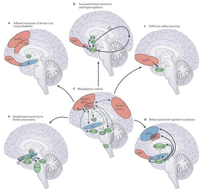Uncertainty and Anticipation Model of Anxiety Brain Circuitry of Five