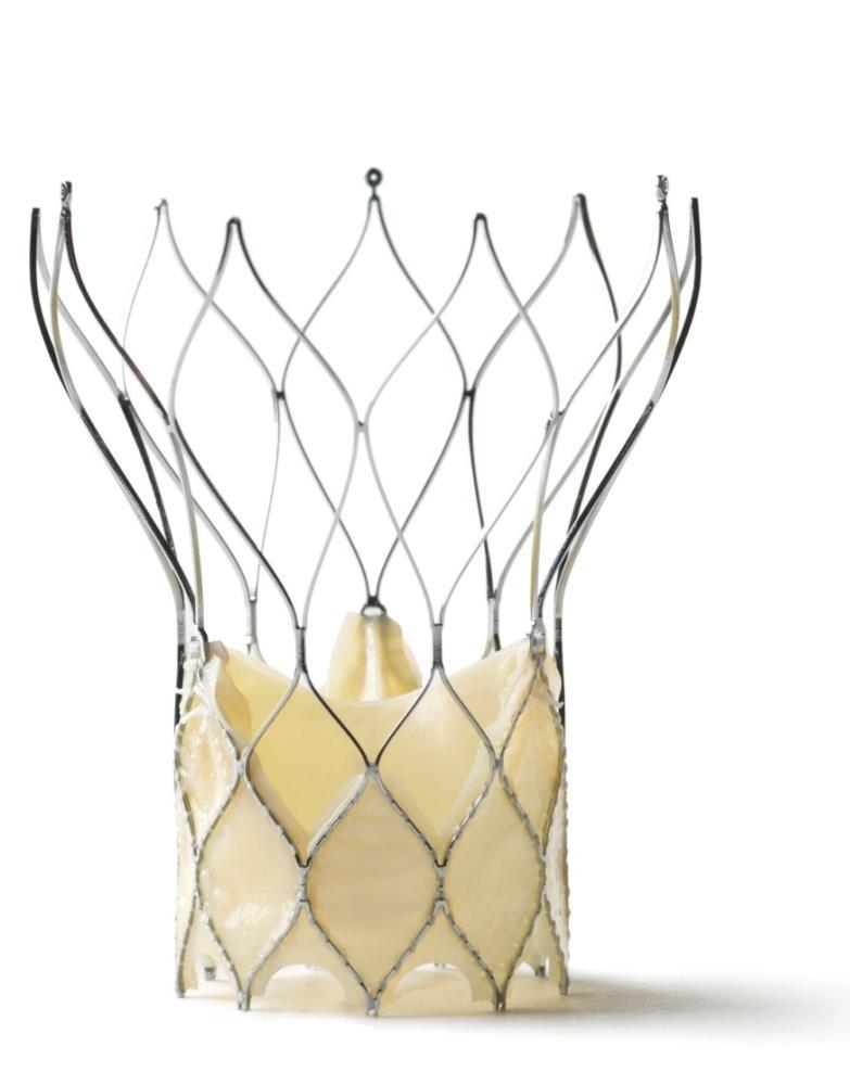 Unique self expanding stent design provides the ability to Re-sheath* Reposition Retrieve* the valve at implant site Bovine and porcine pericardial valve with Linx Anti-calcification technology **
