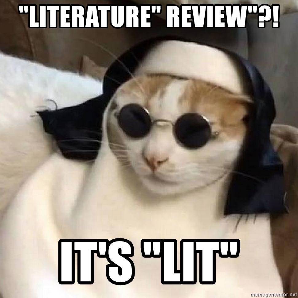 LITERATURE REVIEW: