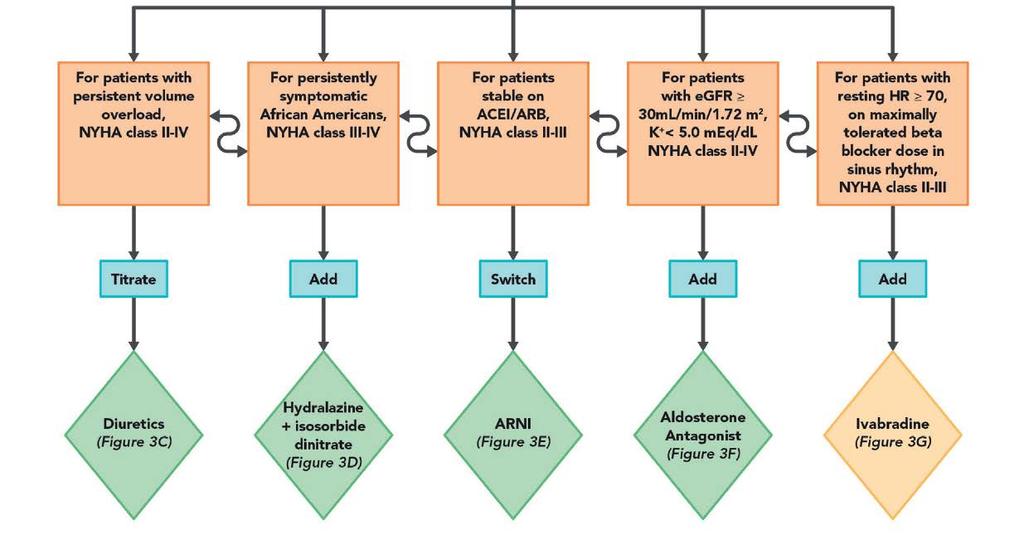 Treatment Algorithm for GDMT Including Novel Therapies HFrEF ACE/ARB and BB