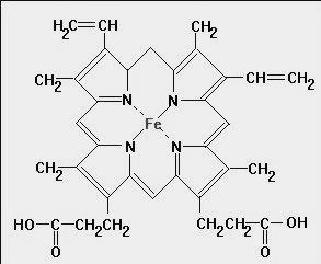 A heme group is a flat ring molecule containing carbon,