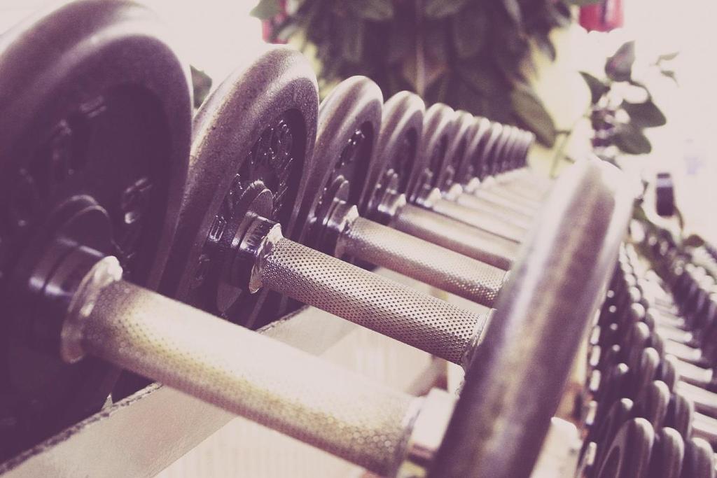 The Different Types Of Muscle Building Equipment As I mentioned at the start of this ebook, learning about all the different types of muscle building equipment can seem very daunting when you re just
