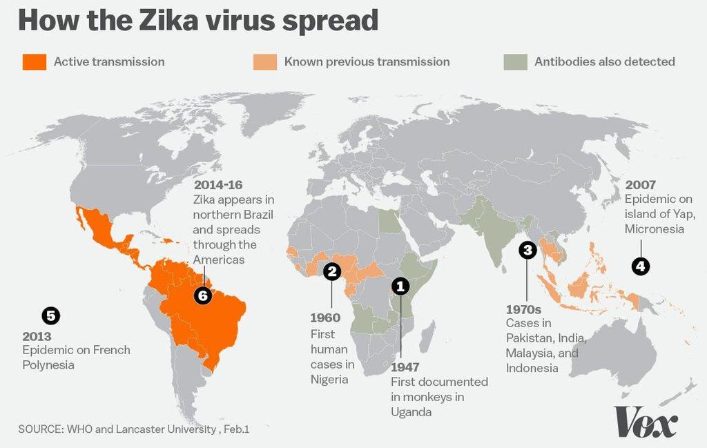 How the Zika