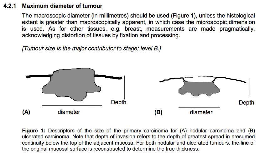 Measure the tumour macroscopically (unless larger microscopically) Depth