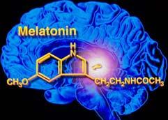 Melatonin Daytime = 2-10 pg/ml Nighttime = 100-2000 pg/ml OTC doses (0.