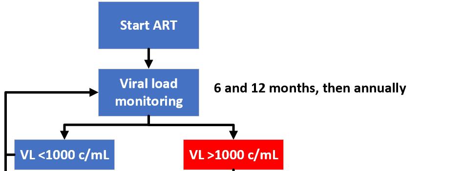 Monitoring of antiretroviral treatment (ART) After start of ART, viral load testing is done at 6 months, 12 months, then