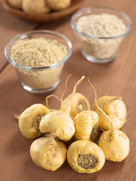 Maca Lepidium meyenii ENERGY, APHRODISIAC, IMMUNITY The Maca plant is native to Peru. Studies have been done on the root in the U.S., and it has been shown to be entirely non-toxic with many health benefits.