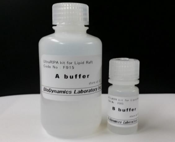 Effective extraction of lipid raft proteins by B-buffer ULTRARIPA-insol tightly insoluble proteins RIPA-sol RIPA-insol >70% <30% ~95% purification
