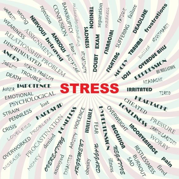 Stress Takes Many Forms Stress takes many forms Even if you don t feel stressed you might still be putting yourself under pressure as the following also stress the body: Heavy exercise Environmental