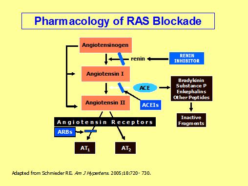 Advanced Pathophysiology Unit 7: Renal-Urologic Page 17 of 18 RAS blockade with drugs: ACEIs (ACE inhibitors): o Enzyme inhibitors of ACE and prevent the conversion of Ang-I to Ang-II o since ACE