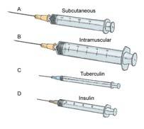 Components of a syringe Various types of syringes
