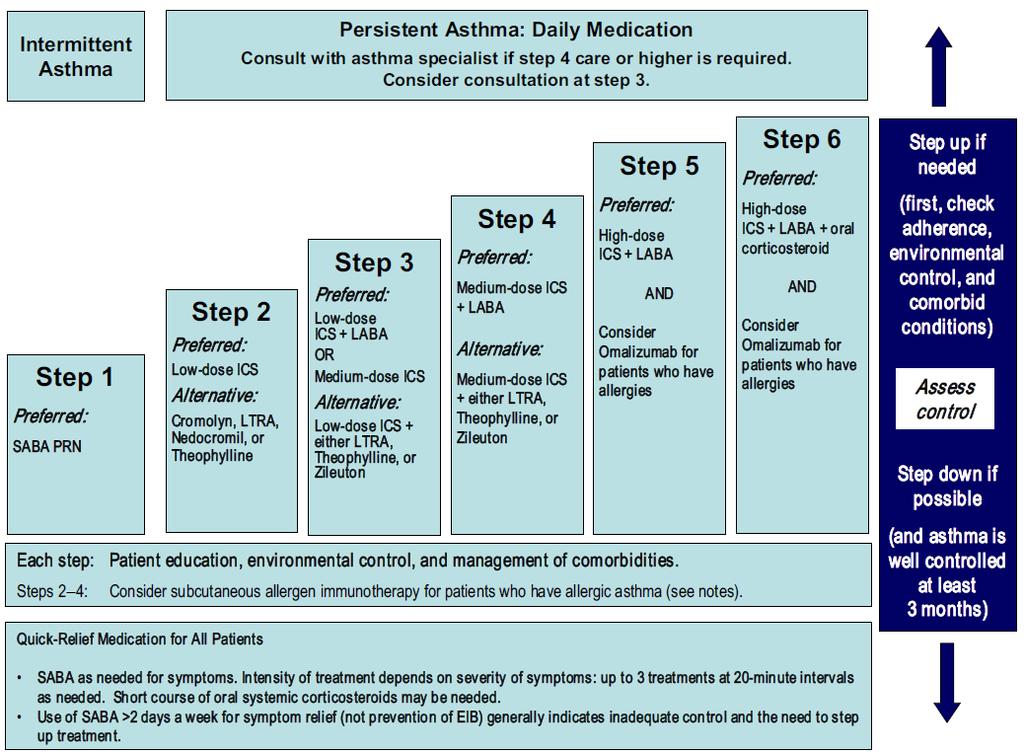 4 Medication Therapy Stepwise Approach for Managing Asthma in 12 Years of Age and Adults Source: NHLBI EPR 3,2007