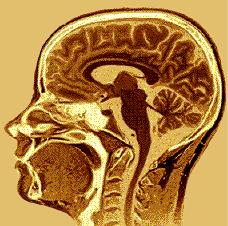 Neuroimaging Research Information Package Medical Research Council Cognition and Brain