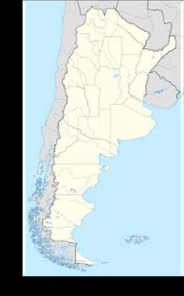 Future Tasks Arg-ADNI 2 nd Cohort (Argentine Multicenter Study) National grant application (2015-2018) to study larger Argentina ADNI 2 cohort of 180pts involving at least 8 new sites (AD Centers).