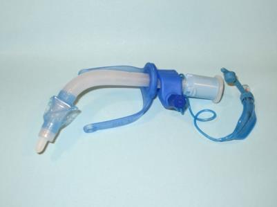 Please describe the nurse s role when assisting in insertion of a tracheostomy tube: