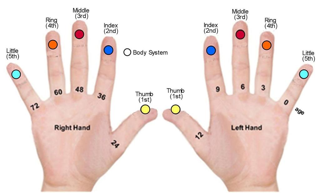 Fingertip Testing 1. Press firmly in the middle of the last digit of each finger, just under the round fingertip pad. Sharp pain that makes you want to yell OUCH! is a positive response. 2.