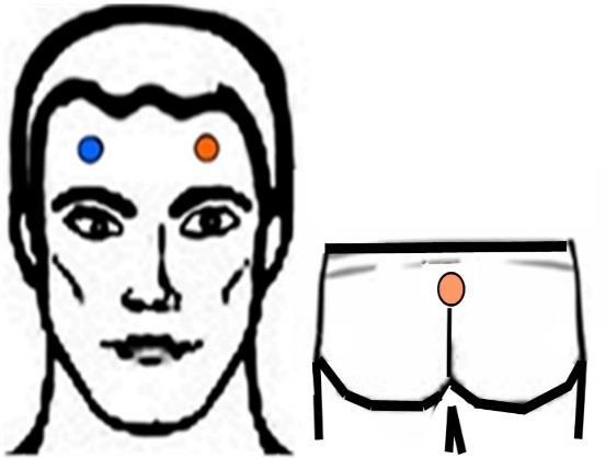 LATERALITY & POLARITY Horizontal (Side to Side) Treatment LOCATION: Corpus Callosum point, mid nose &