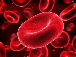 Red Blood Cells life span of 80-120 days substances necessary for creation of erythrocytes, metals (iron, cobalt, manganese), vitamins (B12, B6, C, E, folate, riboflavin, pantothenic acid,