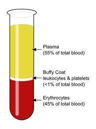 Haematocrit Hematocrit (Hct) is a measure of the total volume of the erythrocytes relative to the total volume of whole blood in a sample A drop of 3% in Hct equals approximately one unit of blood