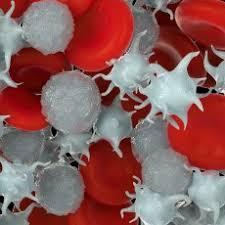 Platelets Platelets (thrombocytes) are the smallest of the formed elements in the blood.