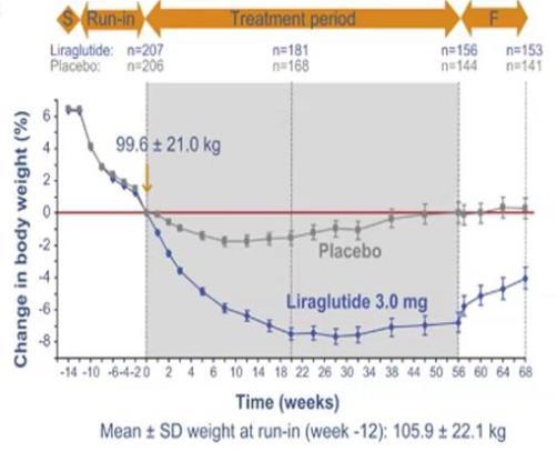Liraglutide Efficacy with Low Calorie