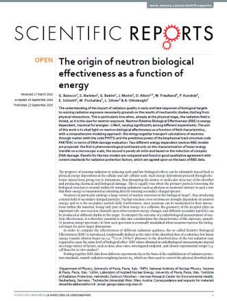 Large uncertainty on the neutron RBE and radiation weighting factors Neutron RBE depends on: Energy Dose (and dose rate) Biological Endpoint Influence of